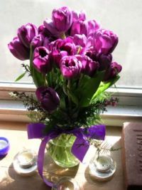 Purple Tulips......my #1 fav.
