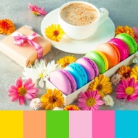 Colorful Macarons (Medium)