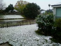 Snow in Texas