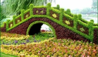 Chinese topiary