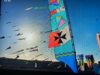 Kite festival