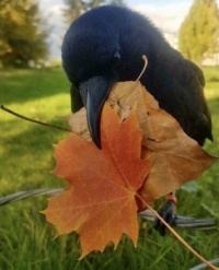 October