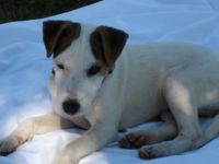 <3 Sparky! <3