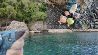 Pengi in the South Pacific 6