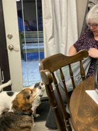Aunty Deb being diplomatic with treats