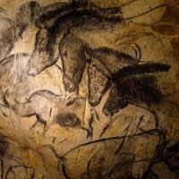 Chauvet 2 -