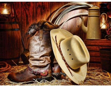 Solve Boots and Hat jigsaw puzzle online with 192 pieces