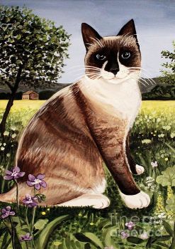 The Snowshoe Cat - Elizabeth Robinette Tyndall