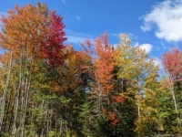 Fall