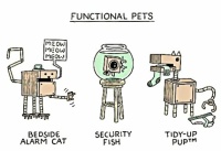 PETS WEEK - 2 OF 4