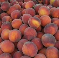 Peaches Jordan