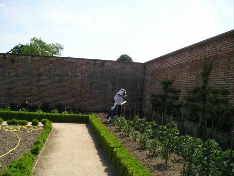 WIMPOLE HALL -  walled garden maid scarecrow 1