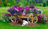 Flower Bed Wagon & Dogs from Hillbilly Heaven FB
