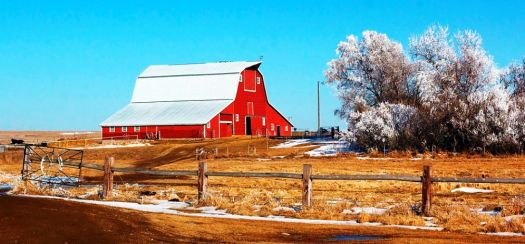frosty morning barn