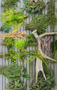 Foraged Winter Greenery