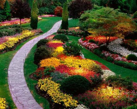 colorful garden