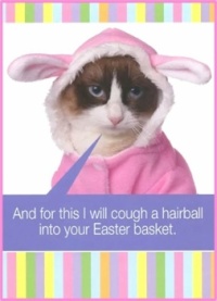 Check Your Easter Basket!