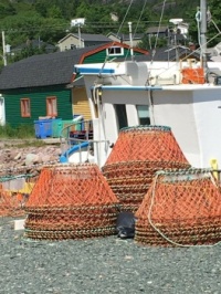 2022 July - Snow Crab traps, Petty Harbour, NL