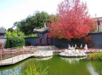 Autumn in the Yi Yuan Gardens