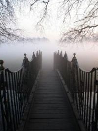 misty paths