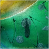 'Skyward' Sculpture Collage-8