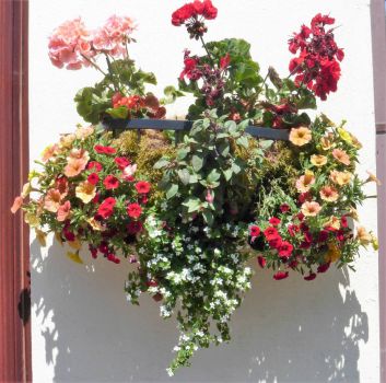 Garden wall basket