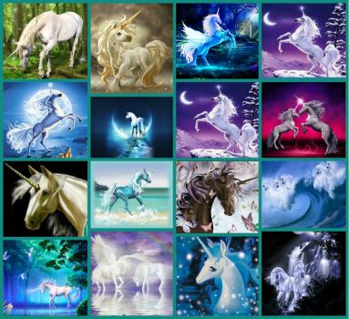 Unicorn Collage: Largest