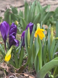 Spring is here