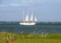 Sailboat in Charleston Harbor
