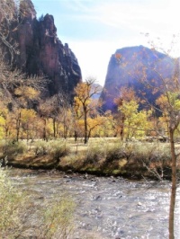 Zion Nat. Park Utah November 2006