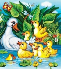 Promenade en famille