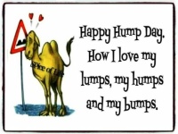Happy Hump Day