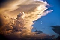 Clouds, Moon, Birds, Venus