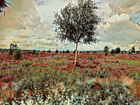 Solve Op de grote stille heide jigsaw puzzle online with 63 pieces