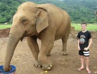 ELEPHANT RESCUE SANCTUARY -NEAR CHIANGMAI - THAILAND