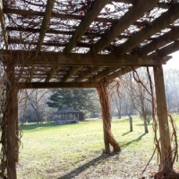Walk in the Park