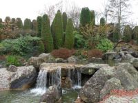 Japanischer Garten Bonn