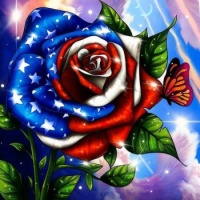 Red, White and Blue Rose 🇺🇸