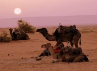 Sahara Desert Sunrise, Morocco