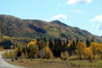 Beautiful Fall Colours