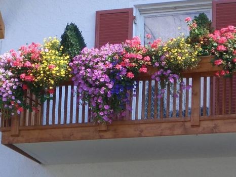 Beautiful balcony 30 pieces jigsaw puzzle.