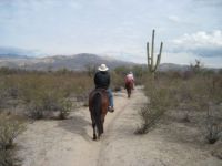 Riding the trails outside of Tucson