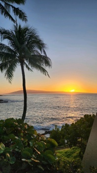 Hawaii 7