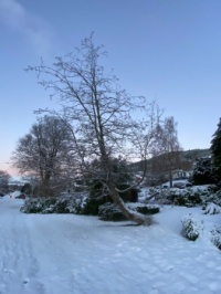 #2 Winter morning in Volda, Norway.