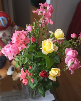 roses