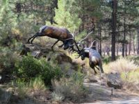 Sculpture outside the High Desert Museum