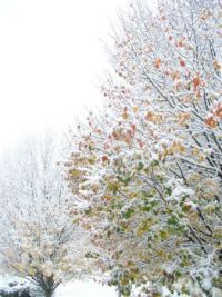 Early snow