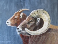 Sheep original acrylic painting
