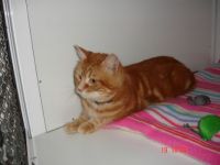 Jules at 2 years old