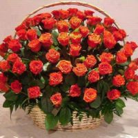 rosas